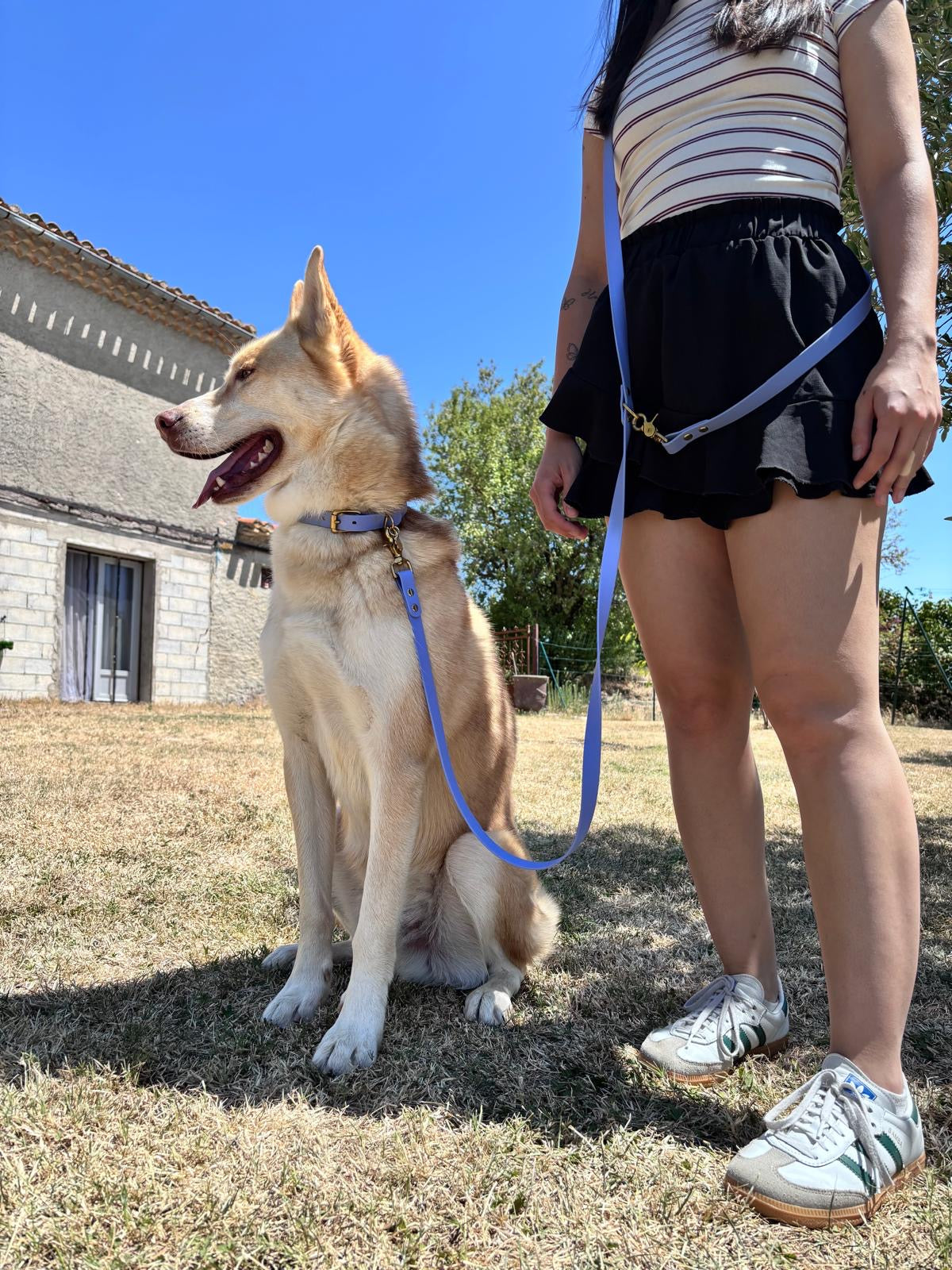 Laisses Multi-Positions