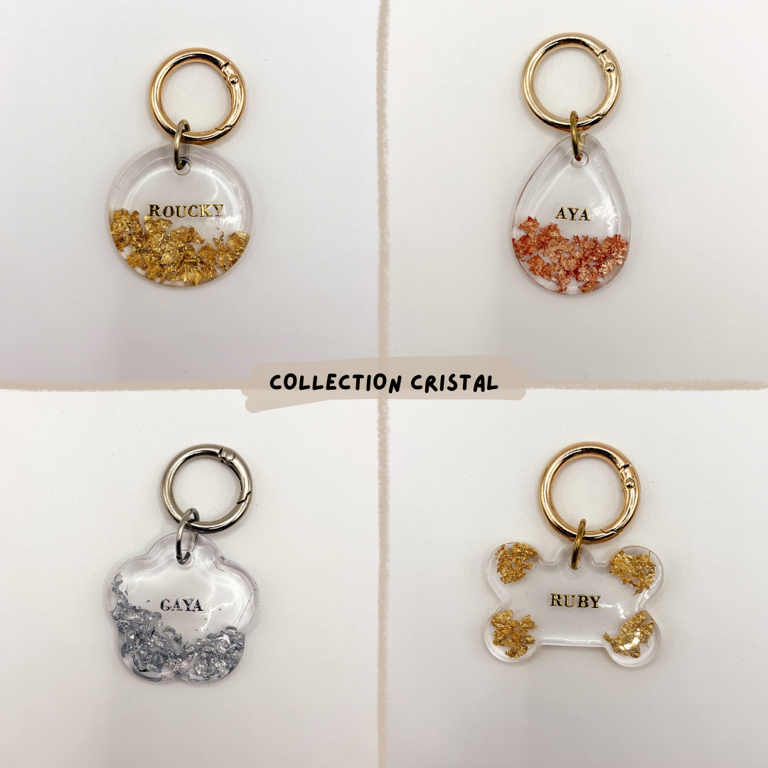Médaille pour chien personnalisée en résine époxy