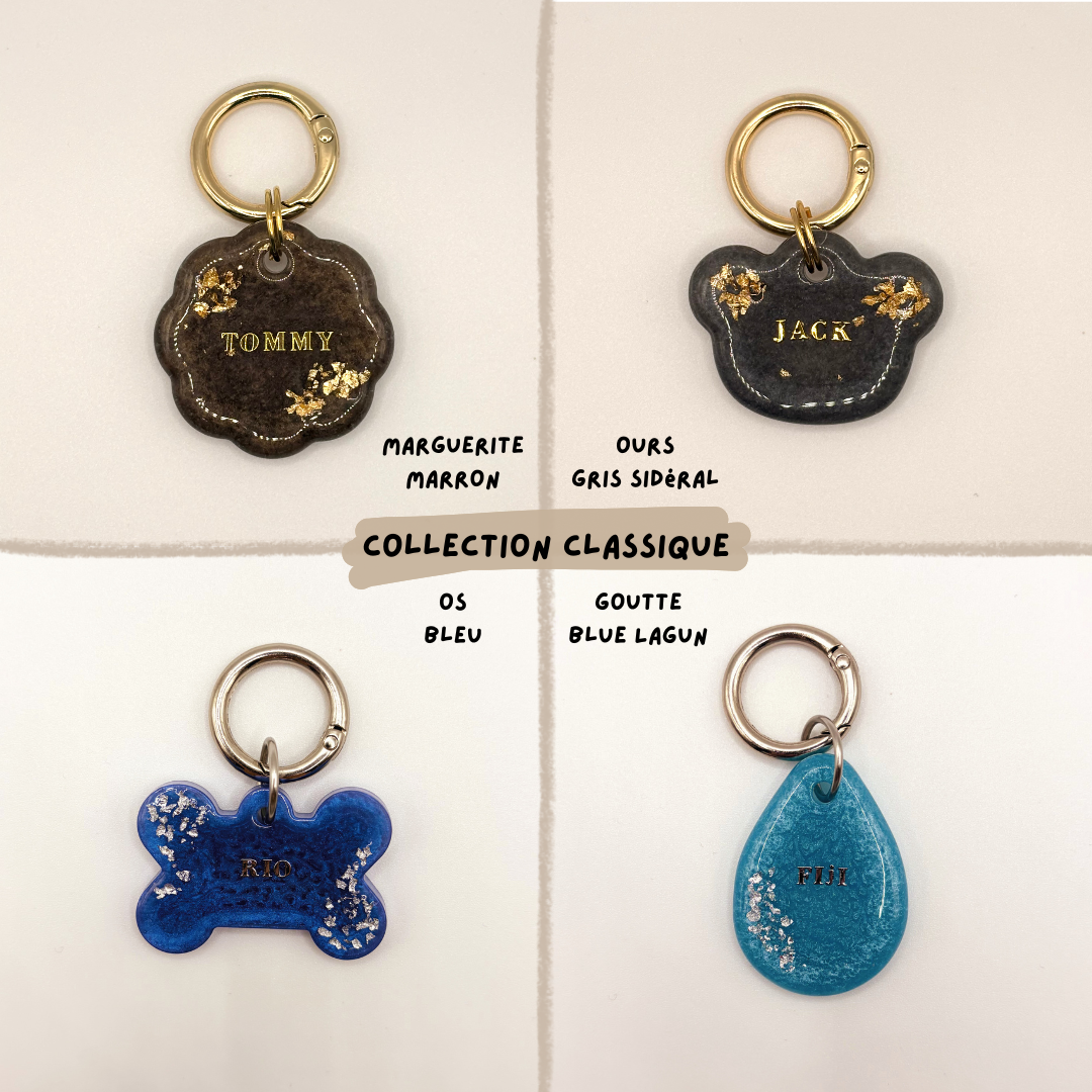 Médaille pour chien personnalisée en résine époxy