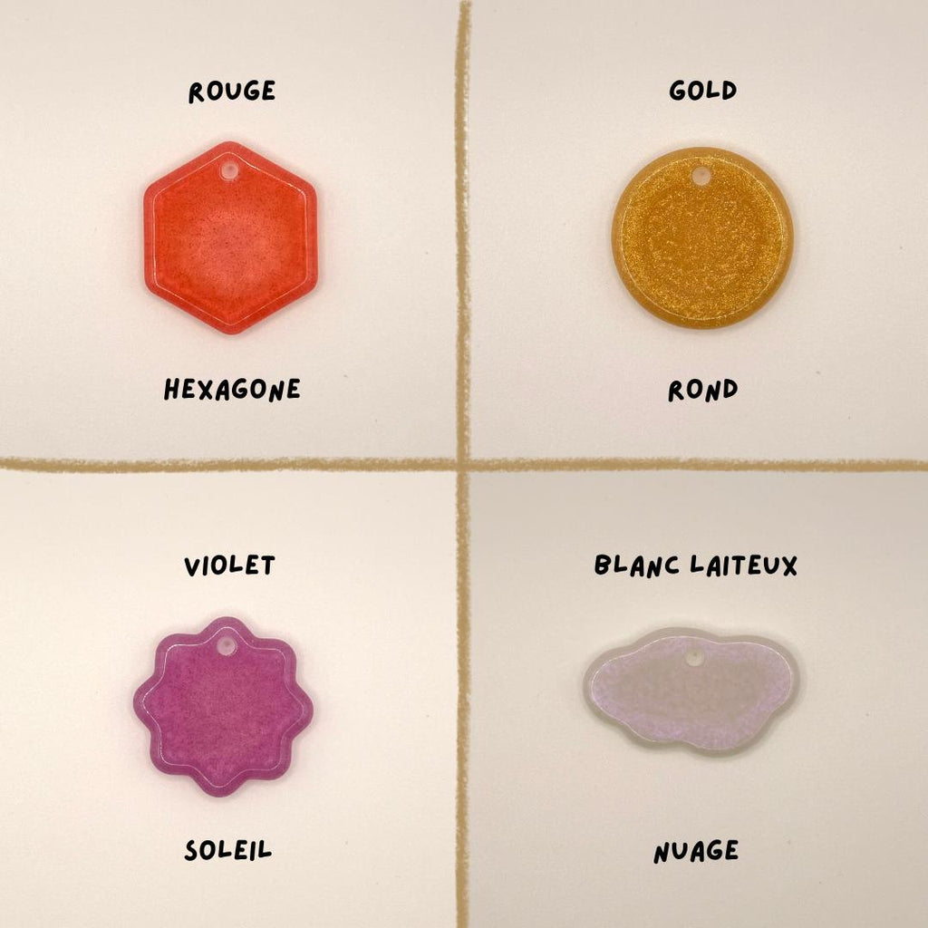 Médaille pour chien personnalisée en résine époxy