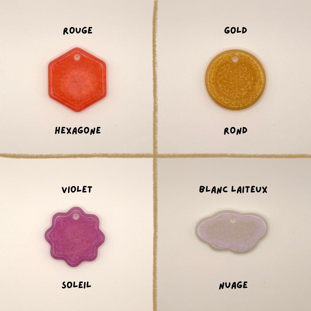 Médaille pour chien personnalisée en résine époxy