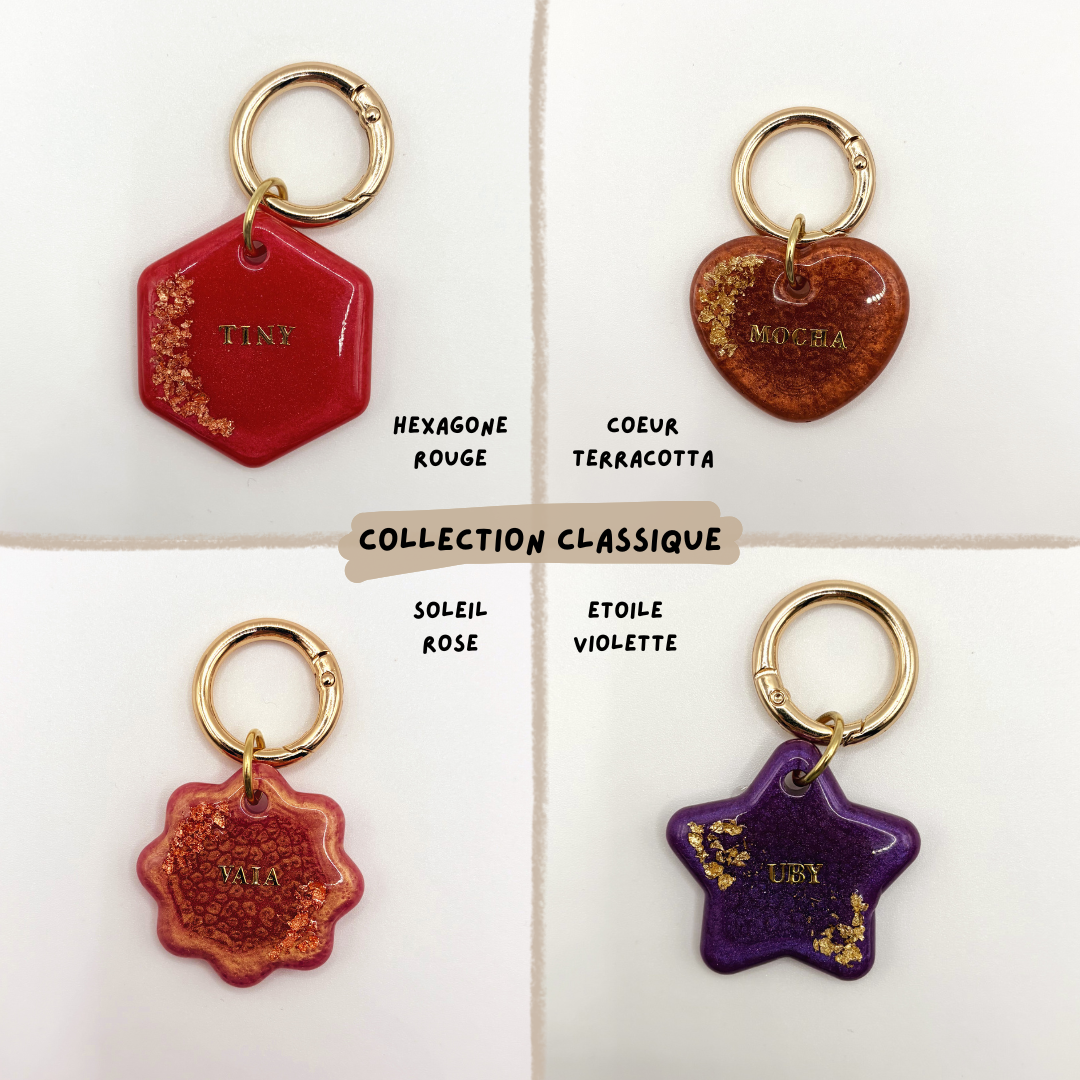 Médaille pour chien personnalisée en résine époxy