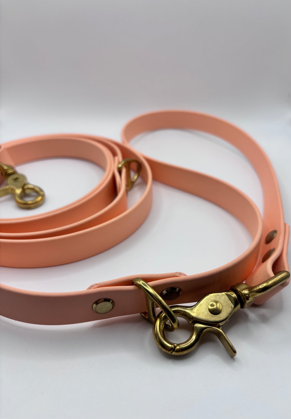 Laisse Multi-Positions BIOTHANE® - Peach Pastel