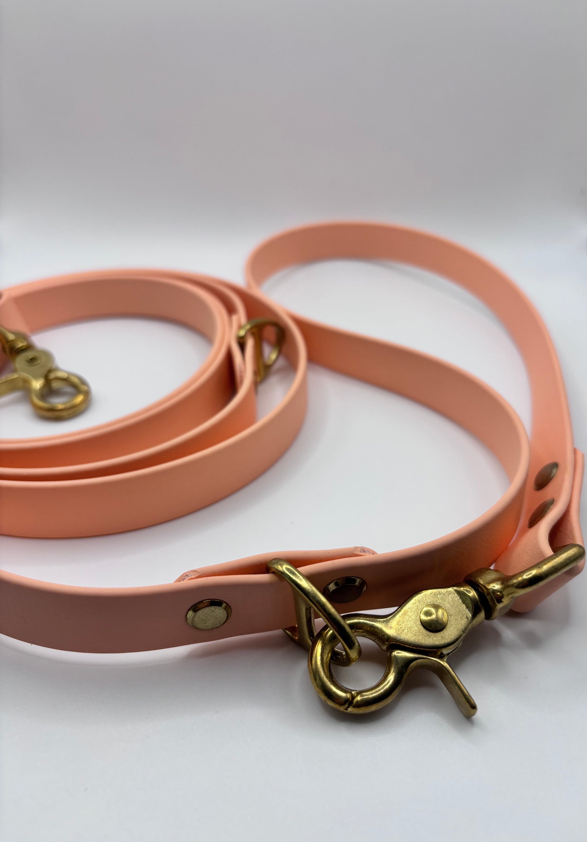 Laisse Multi-Positions BIOTHANE® - Peach Pastel