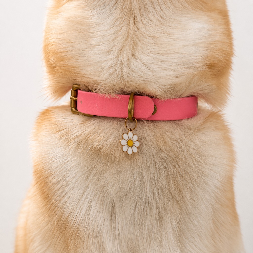 Collier pour chien BIOTHANE® - Bubblepink