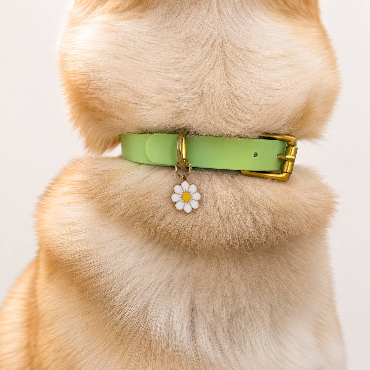 Collier pour chien BIOTHANE® - Green Tea