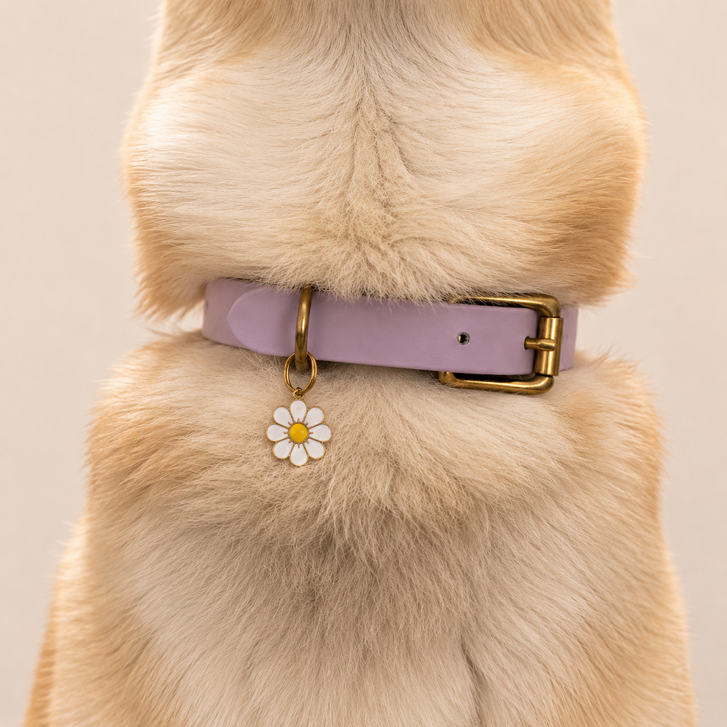 Collier pour chien BIOTHANE® - Lila