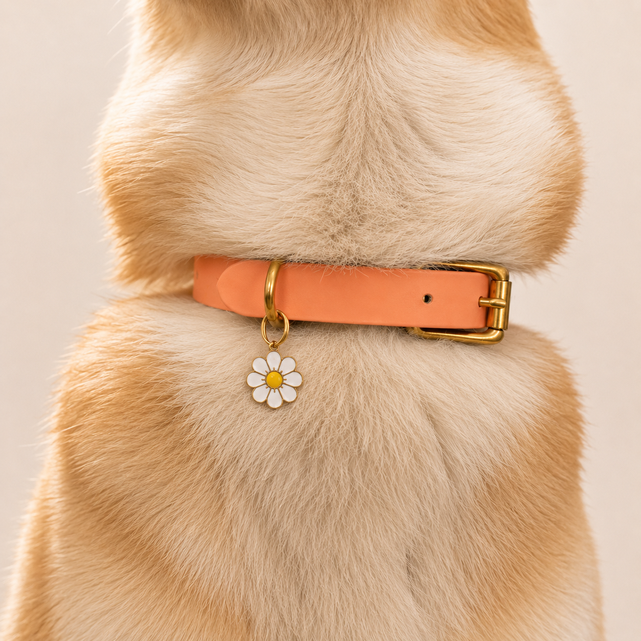 Collier pour chien BIOTHANE® - Peach Pastel