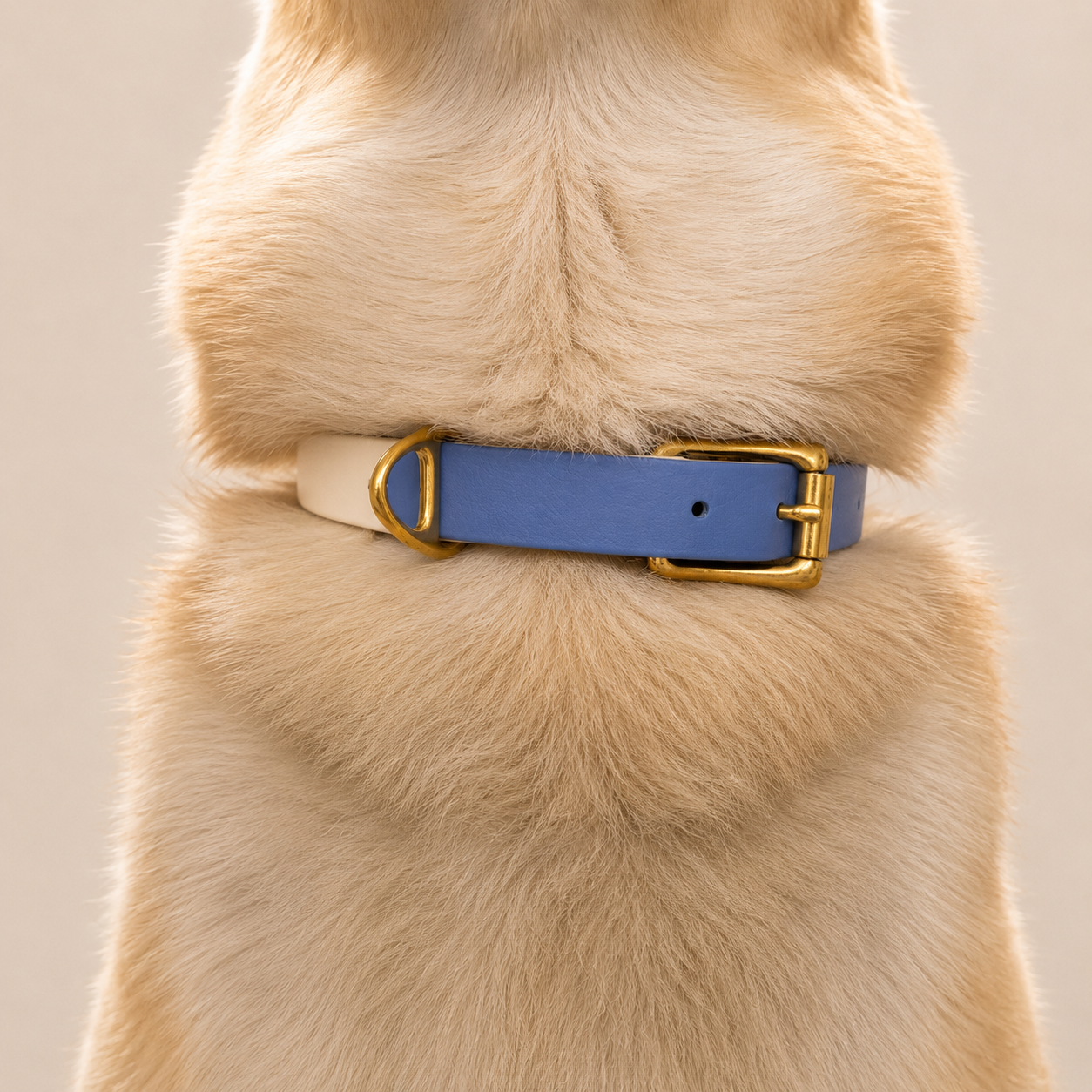 Collier pour chien Bicolore BIOTHANE® - Blueberry