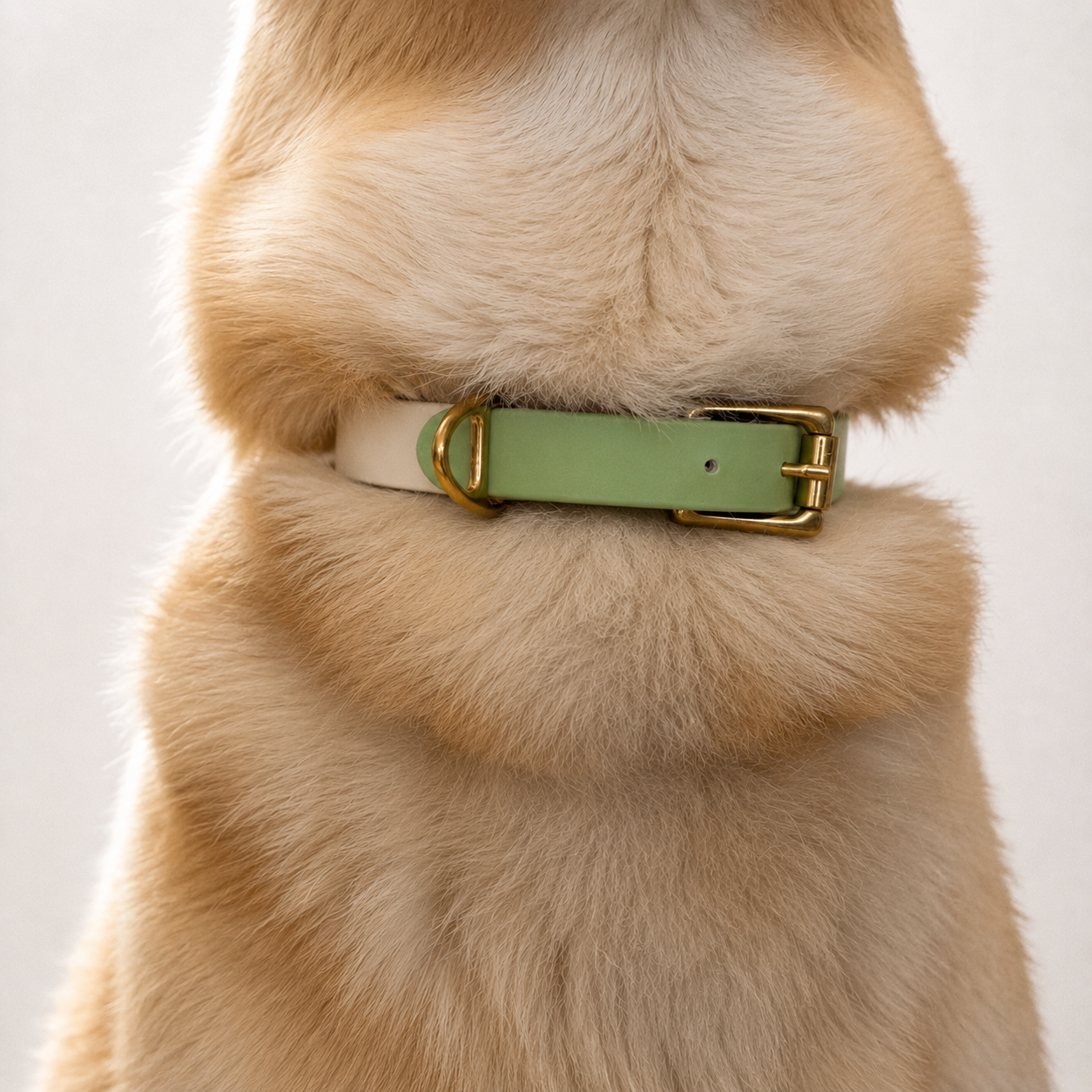 Collier pour chien Bicolore BIOTHANE® - Green Tea