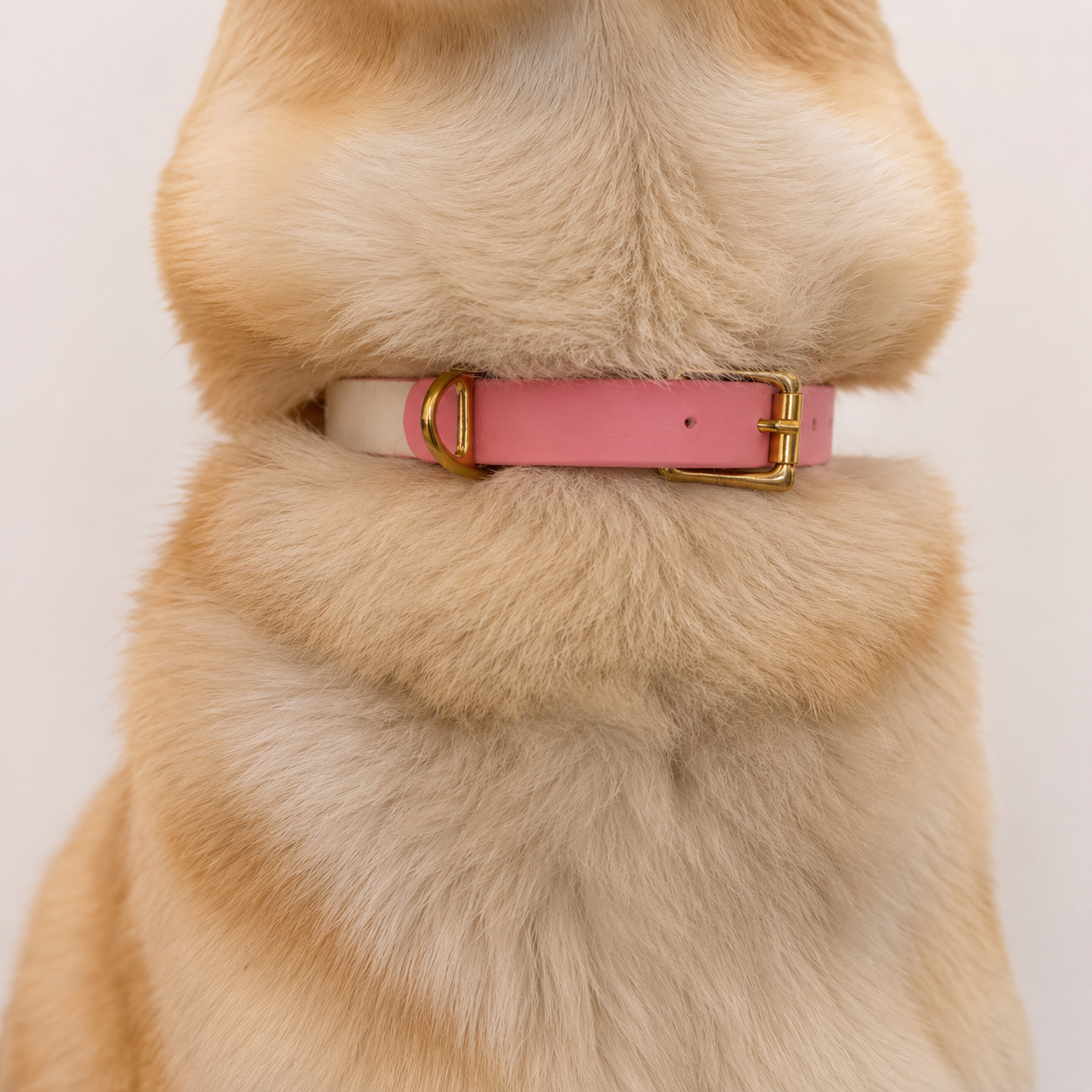 Collier pour chien Bicolore BIOTHANE® - Bubblepink
