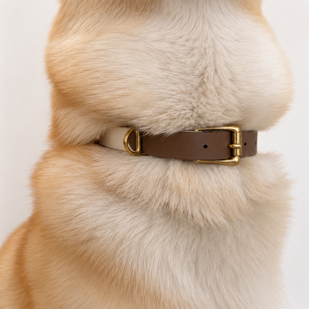 Collier pour chien Bicolore BIOTHANE® - Mocha