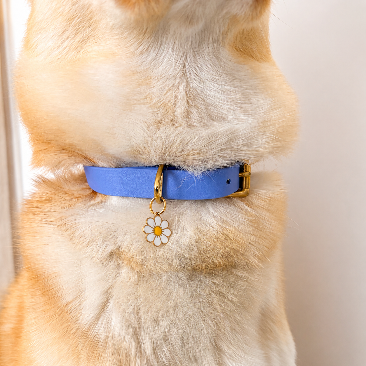 Collier pour chien BIOTHANE® - Blueberry
