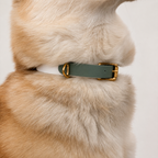 Collier pour chien Bicolore BIOTHANE® - Matcha