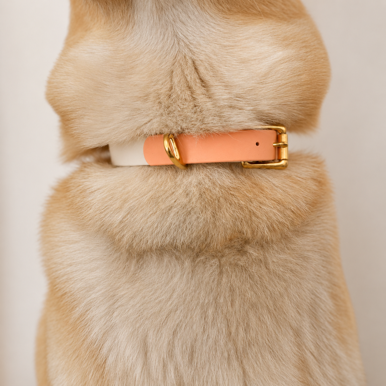 Collier pour chien Bicolore BIOTHANE® - Peach Pastel
