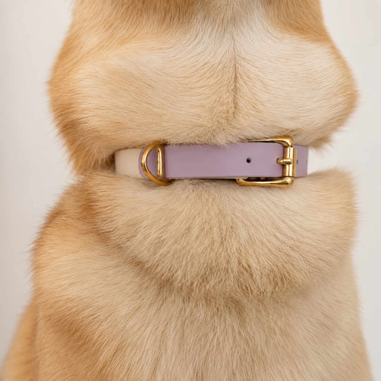 Collier pour chien Bicolore BIOTHANE® - Lila