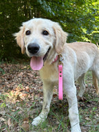 Poignée Chien BIOTHANE® - Bubblepink