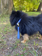 Poignée Chien BIOTHANE® - Blueberry