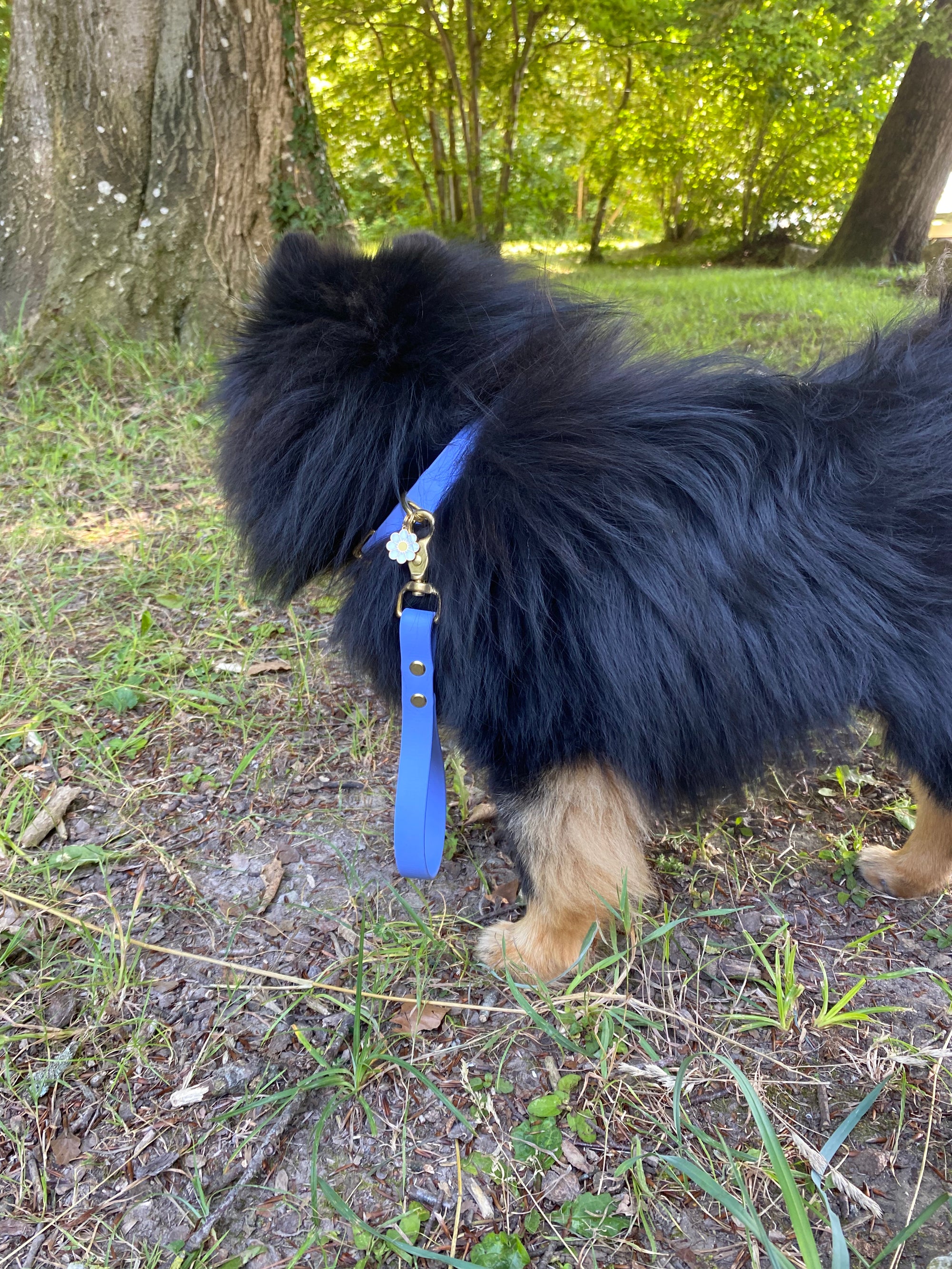 Poignée Chien BIOTHANE® - Blueberry