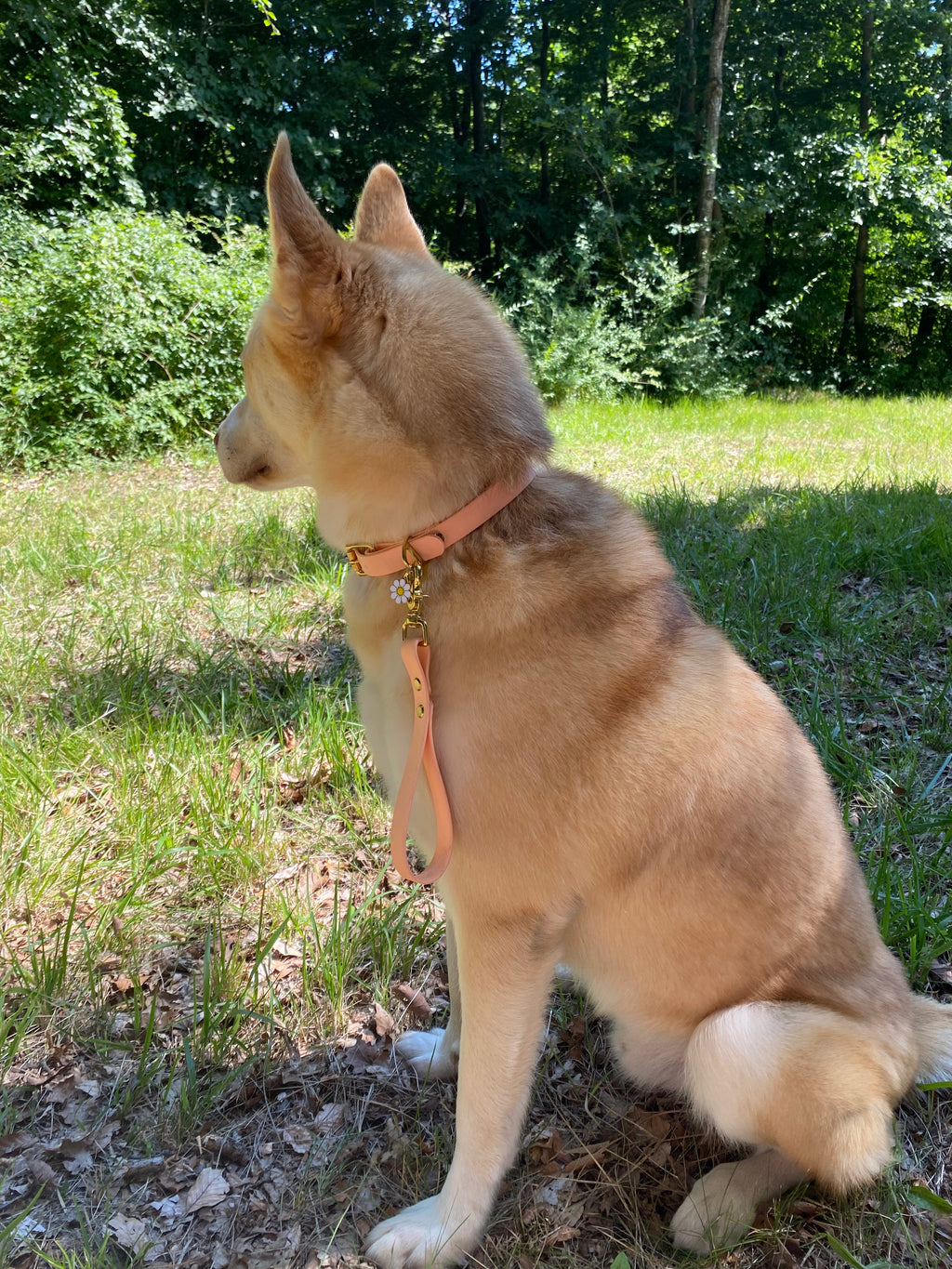 Poignée Chien BIOTHANE® - Peach Pastel