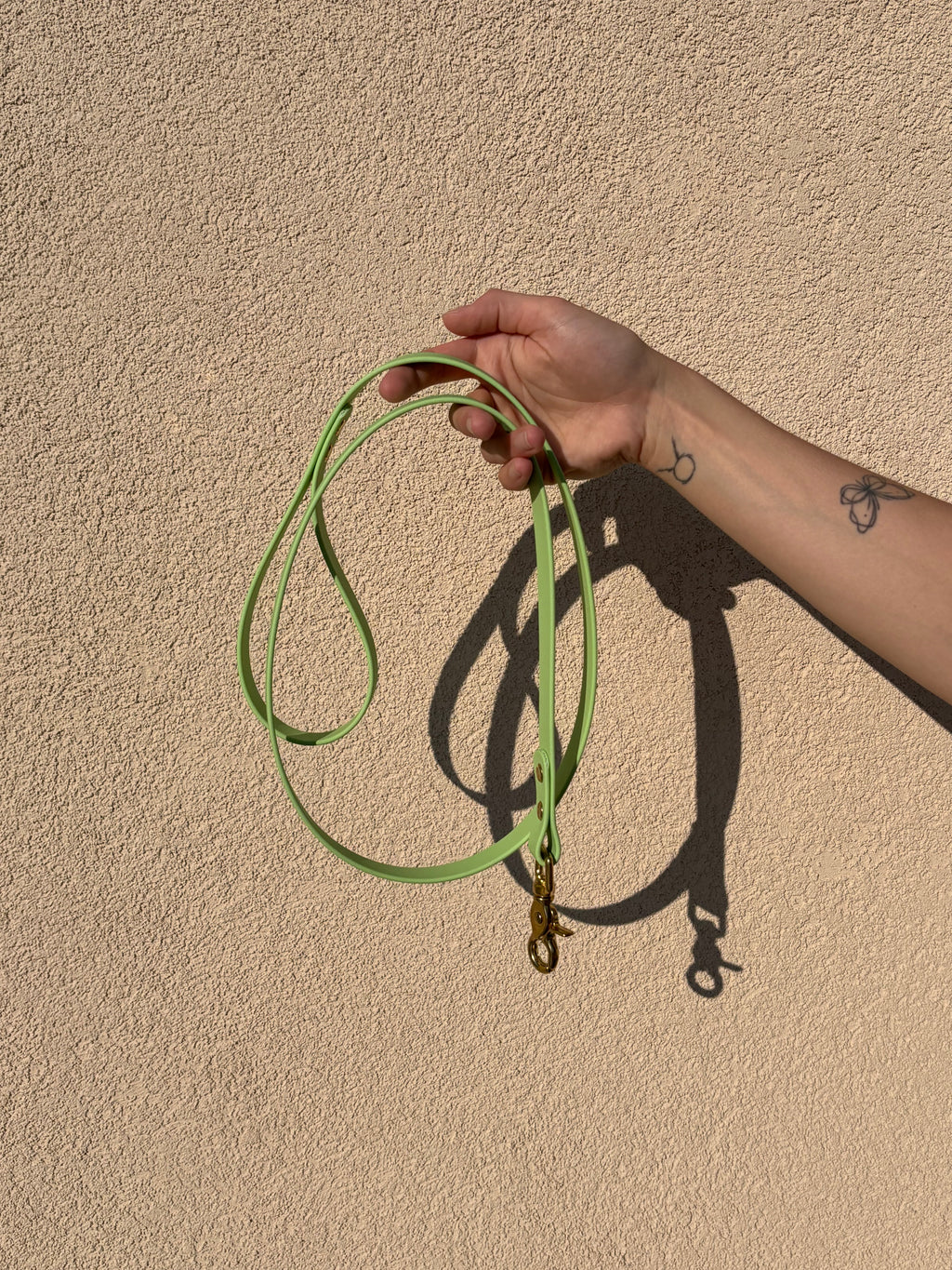 Laisse Chien BIOTHANE® - Green Tea