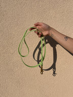 Laisse Chien BIOTHANE® - Green Tea