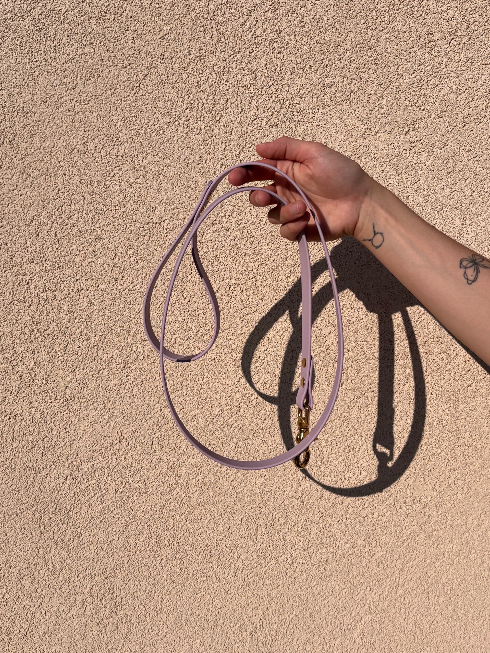 Laisse Chien BIOTHANE® - Lila