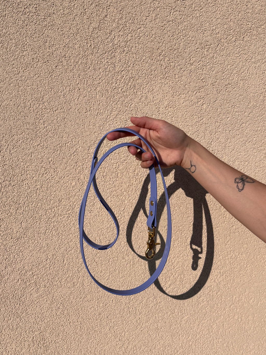 Laisse Chien BIOTHANE® - Blueberry