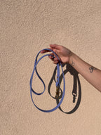 Laisse Chien BIOTHANE® - Blueberry