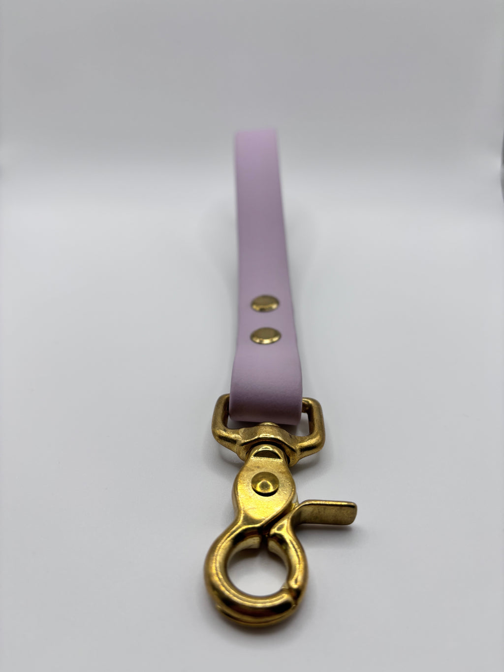 Poignée Chien BIOTHANE® - Lila