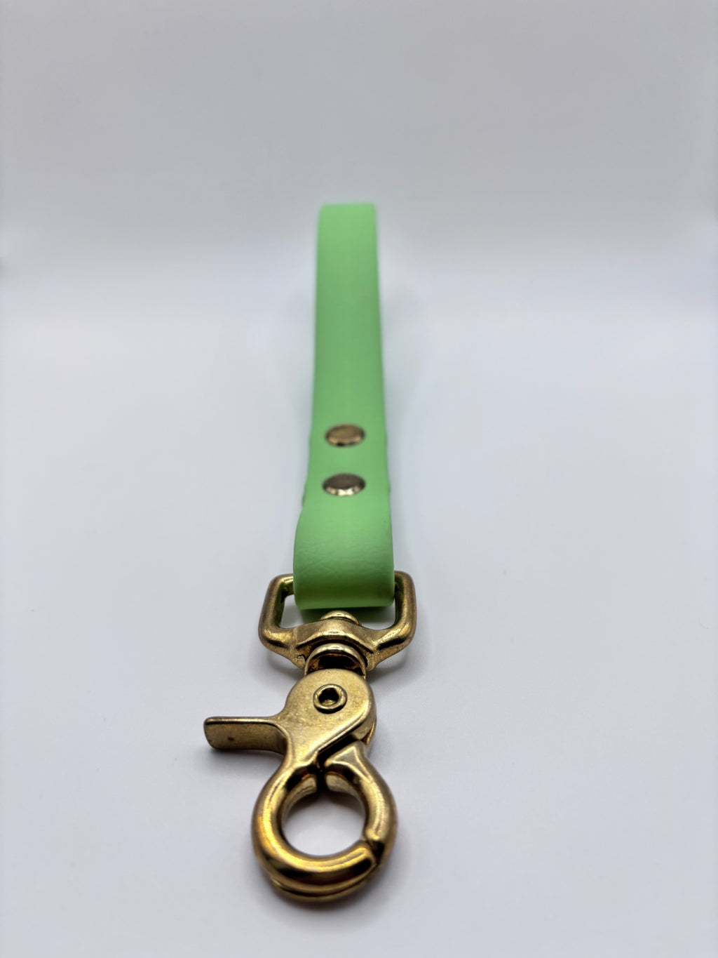 Poignée Chien BIOTHANE® - Green Tea