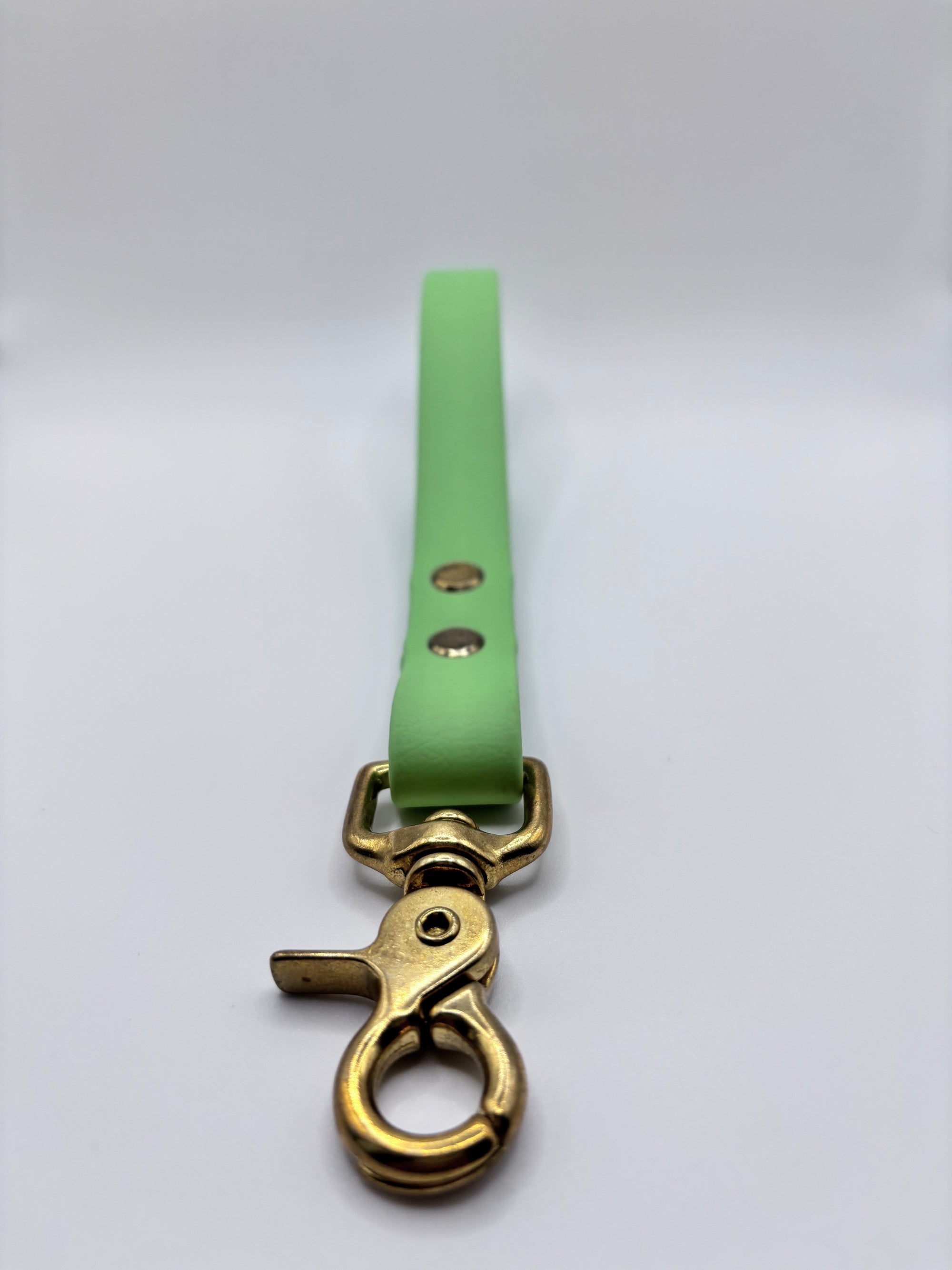 Poignée Chien BIOTHANE® - Green Tea