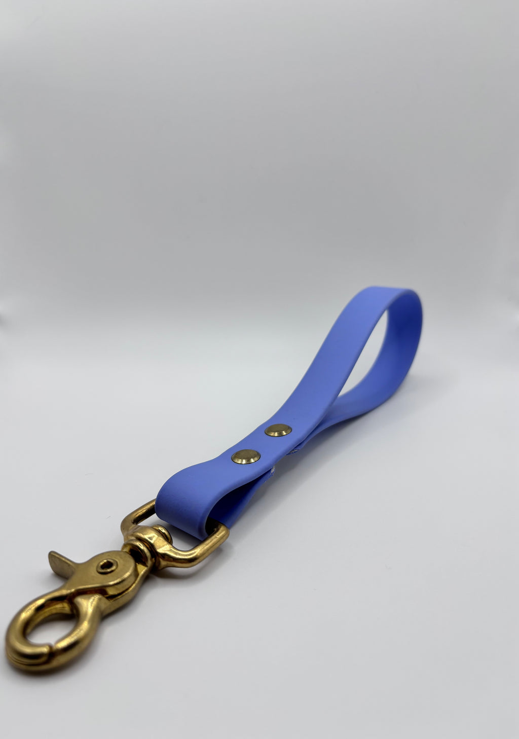 Poignée Chien BIOTHANE® - Blueberry