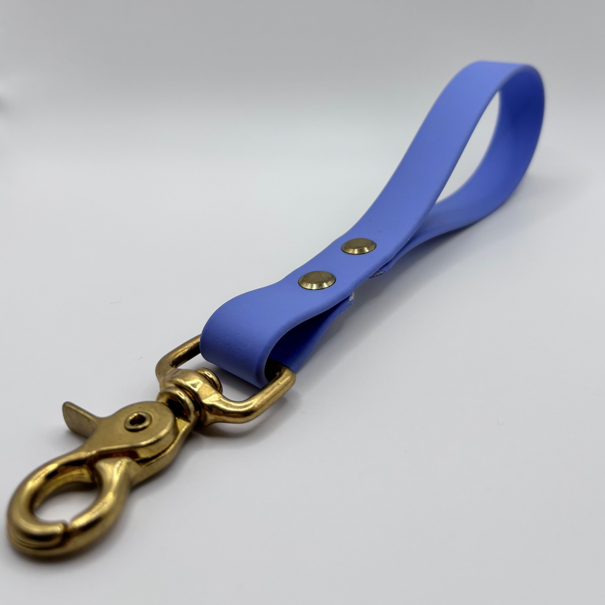 Poignée pour chien BIOTHANE® - Blueberry