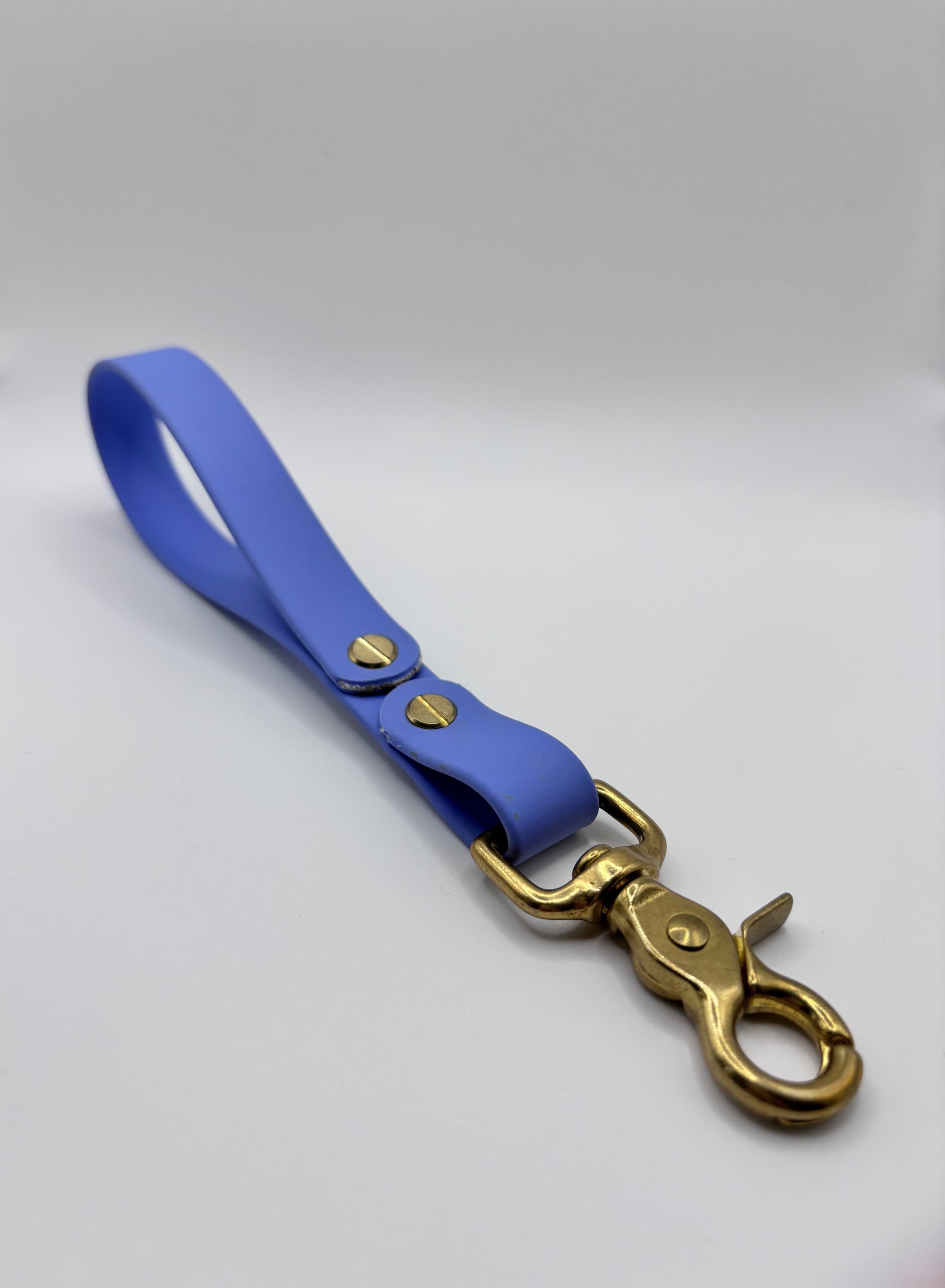 Poignée Chien BIOTHANE® - Blueberry