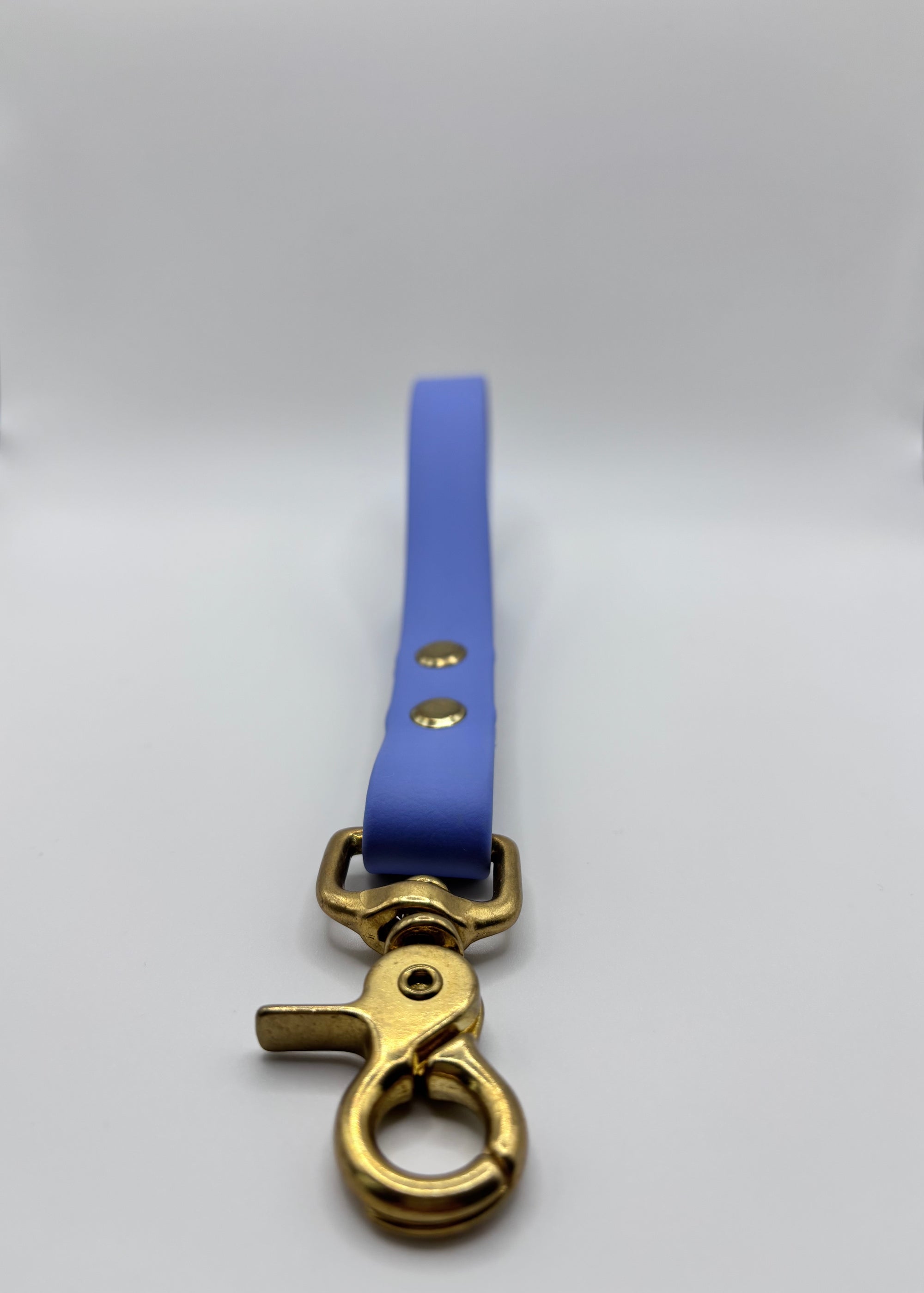 Poignée Chien BIOTHANE® - Blueberry