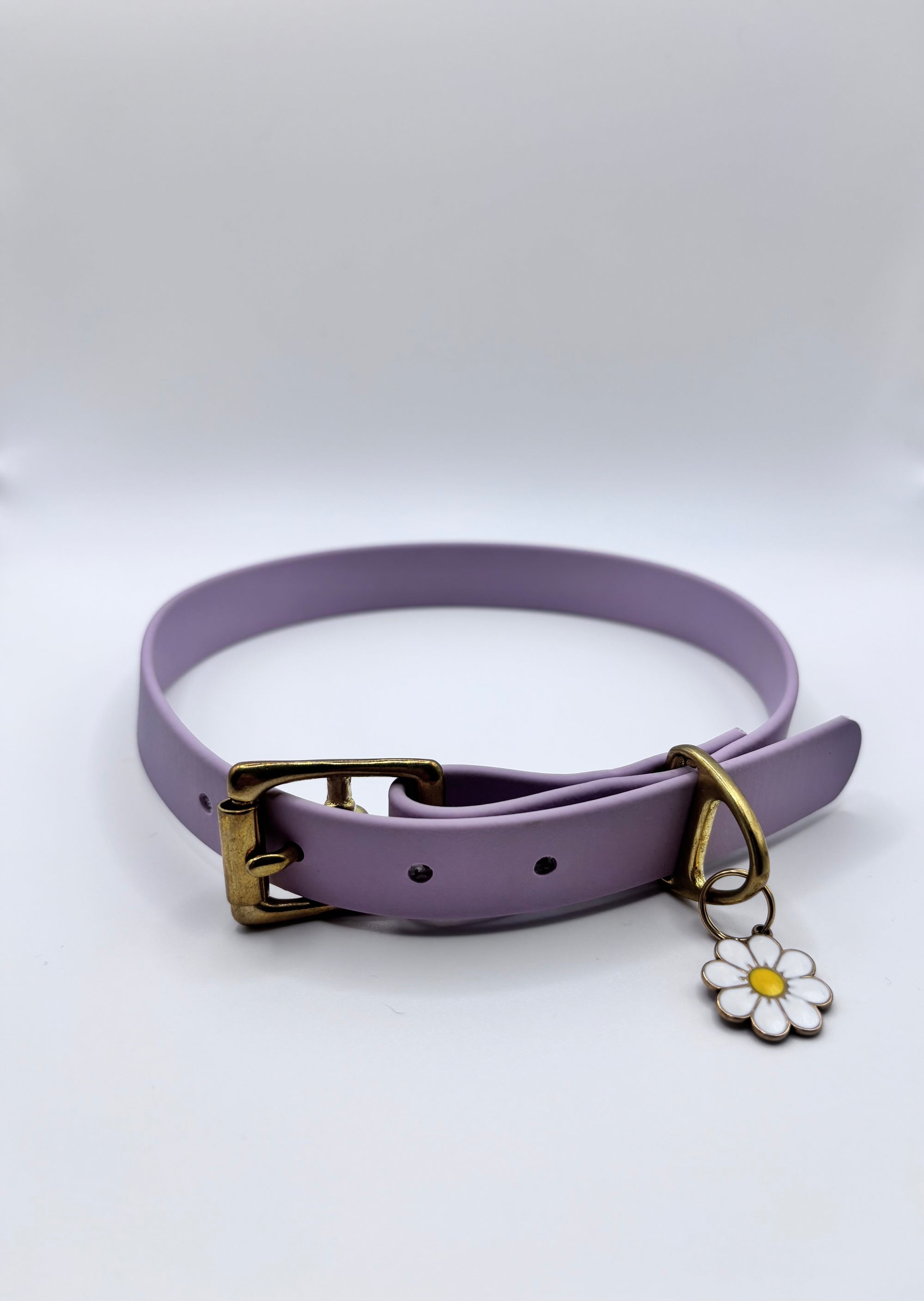 Collier Chien BIOTHANE® à Boucle - Lila