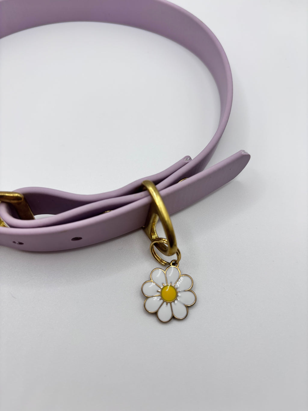 Collier Chien BIOTHANE® à Boucle - Lila