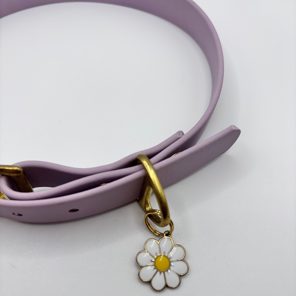Collier pour chien BIOTHANE® - Lila