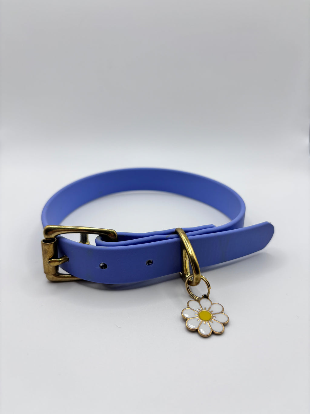 Collier Chien BIOTHANE® à Boucle - Blueberry