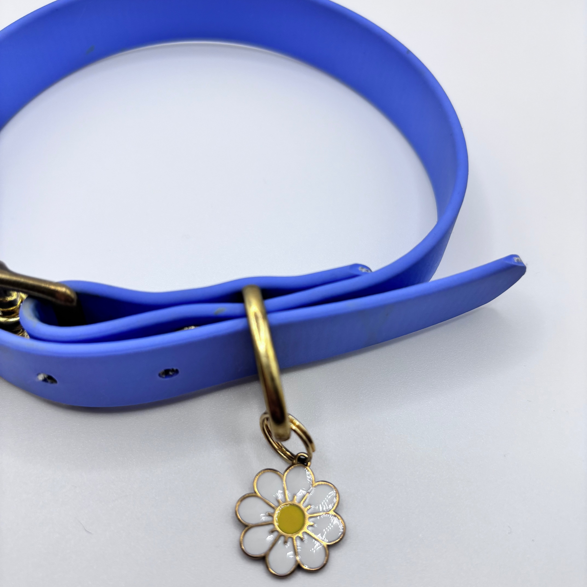 Collier pour chien BIOTHANE® - Blueberry
