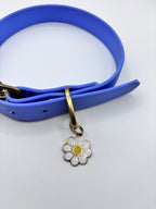 Collier Chien BIOTHANE® à Boucle - Blueberry