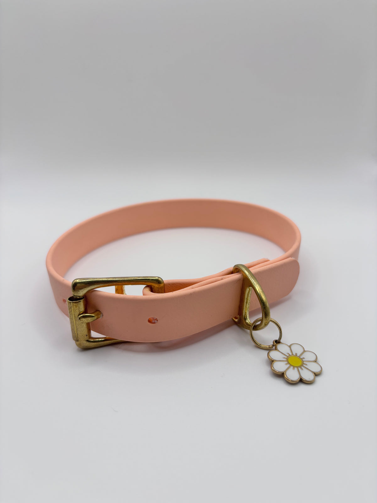 Collier Chien BIOTHANE® à Boucle - Peach Pastel