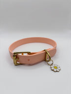 Collier Chien BIOTHANE® à Boucle - Peach Pastel