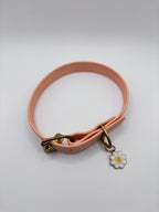 Collier Chien BIOTHANE® à Boucle - Peach Pastel