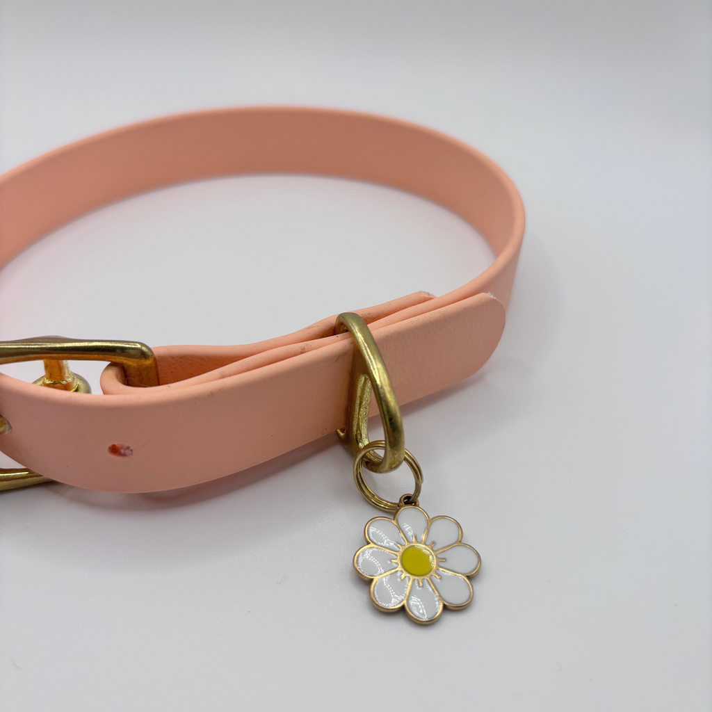 Collier pour chien BIOTHANE® - Peach Pastel