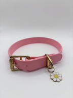 Collier Chien BIOTHANE® à Boucle - Bubblepink