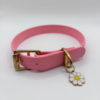 Collier pour chien BIOTHANE® - Bubblepink