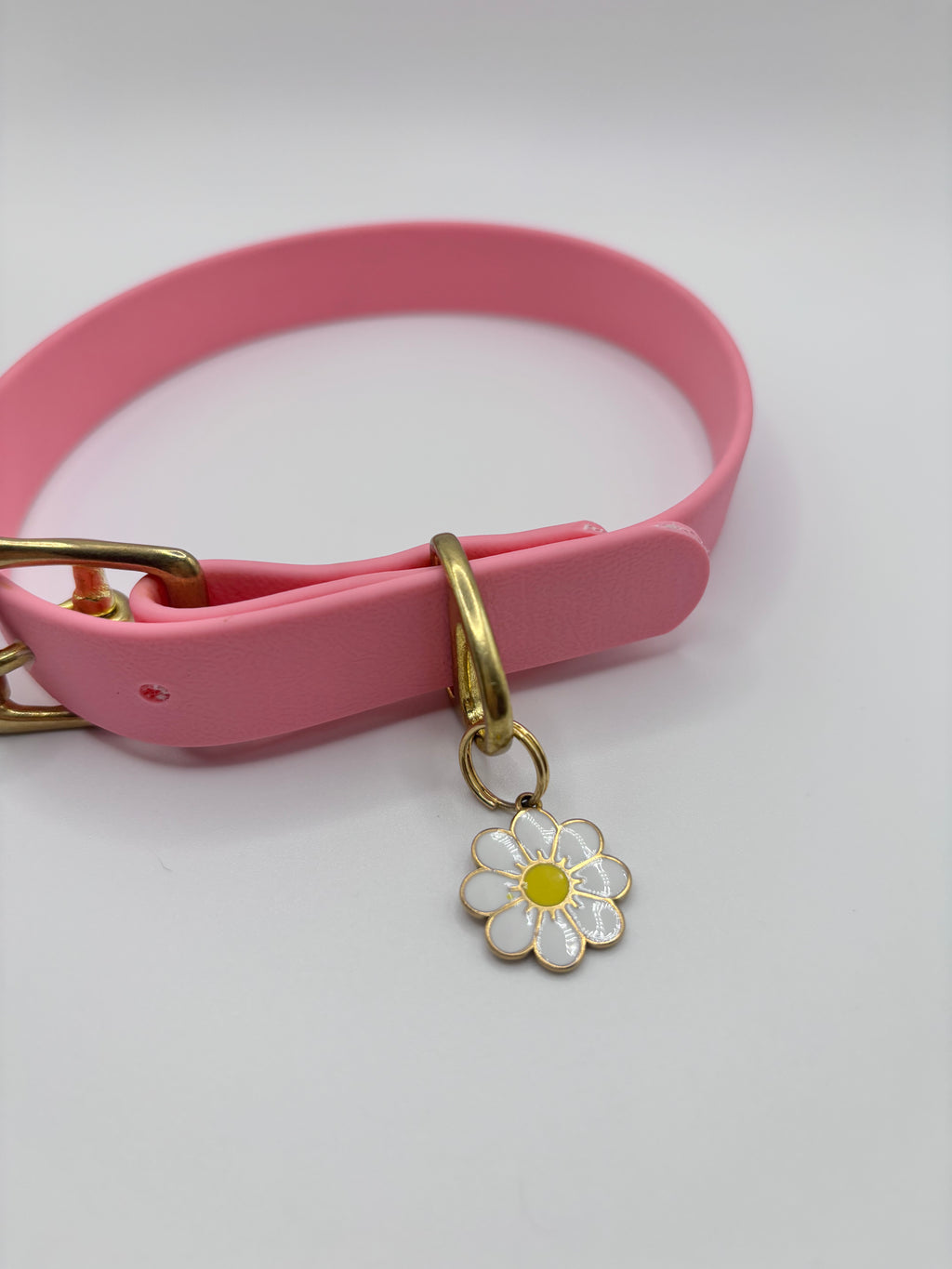 Collier Chien BIOTHANE® à Boucle - Bubblepink