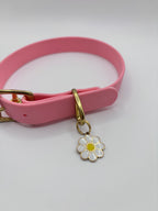 Collier Chien BIOTHANE® à Boucle - Bubblepink